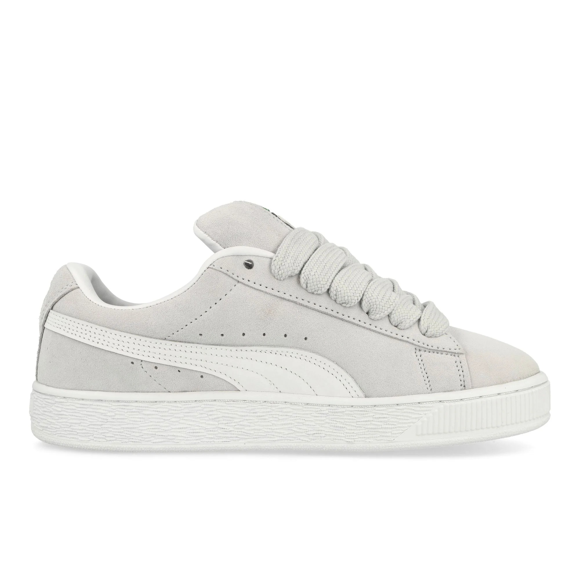 Chaussure Suede XL