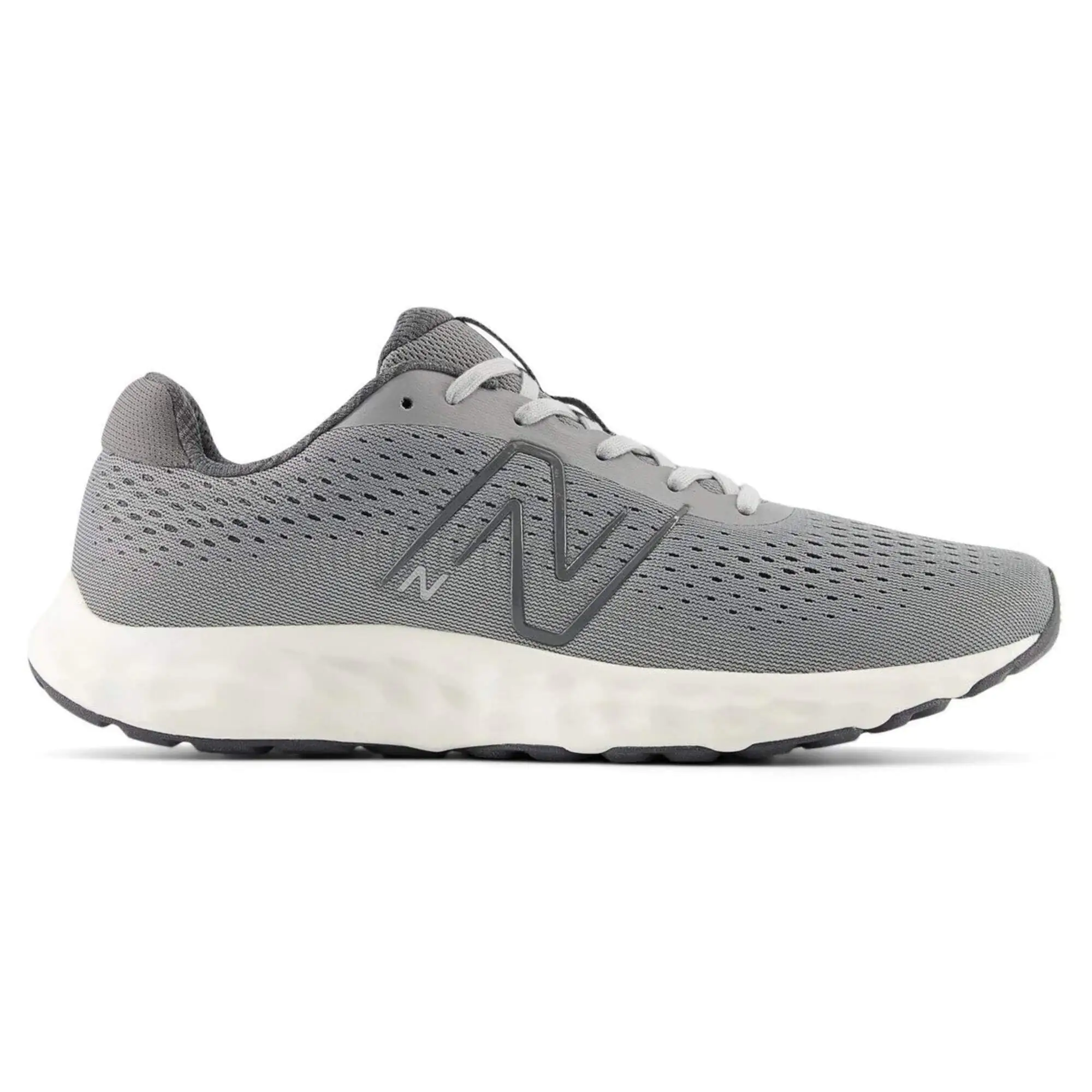 Chaussure Fresh Foam 520