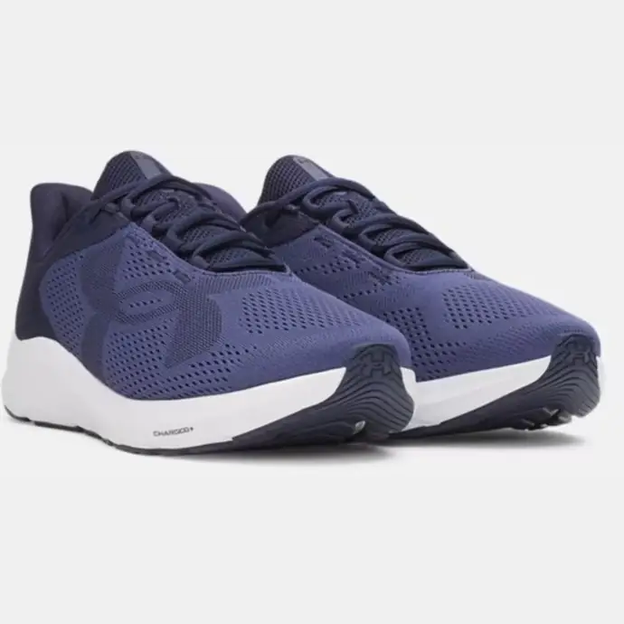 Chaussure UA Pursuit 4