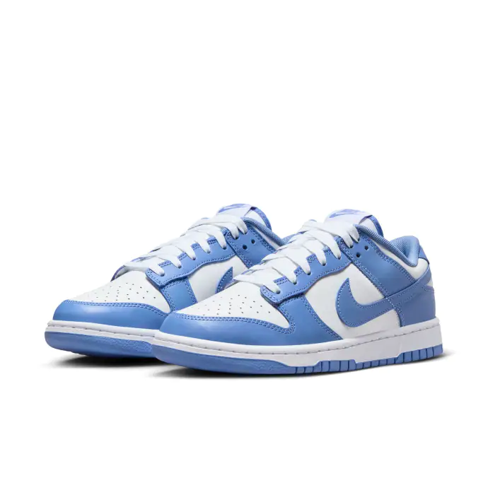 Chaussure Nike Dunk Low Retro
