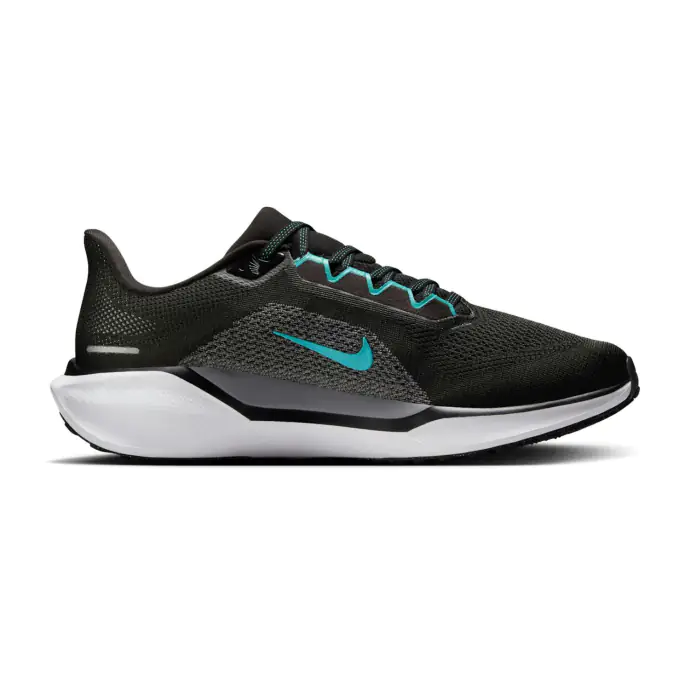 Chaussure Nike Pegasus 41