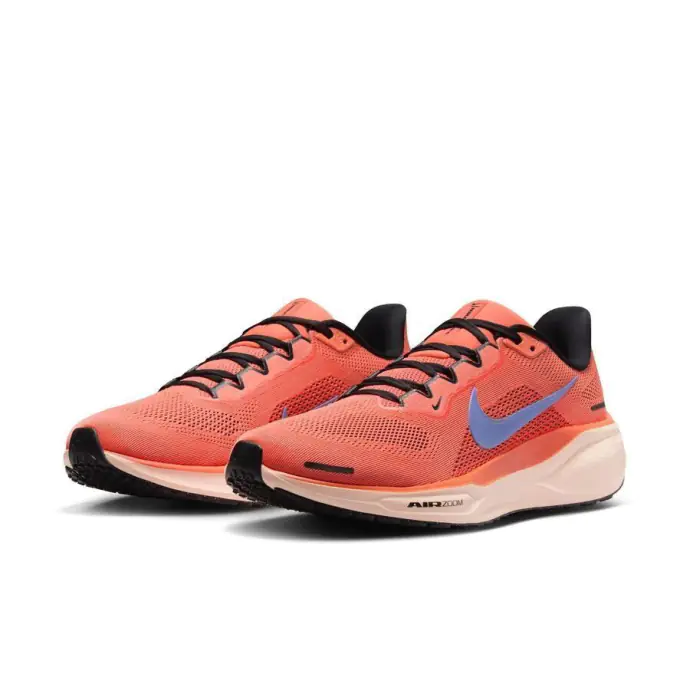 Chaussure Nike Pegasus 41