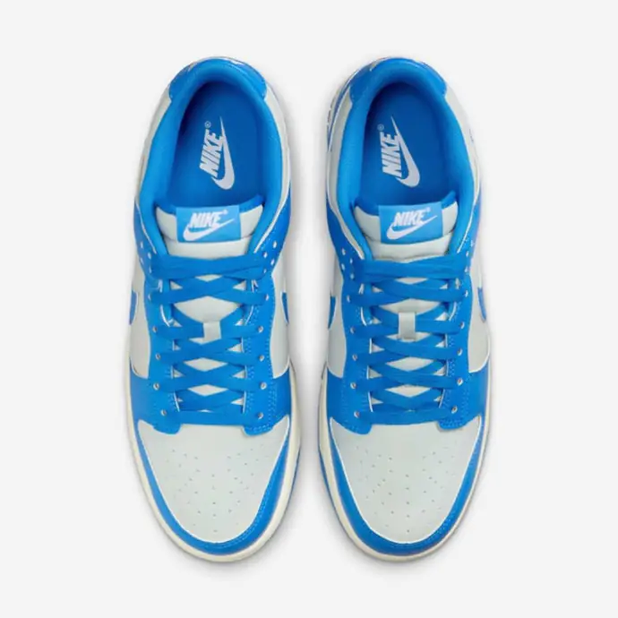 Chaussure Nike Dunk Low Retro