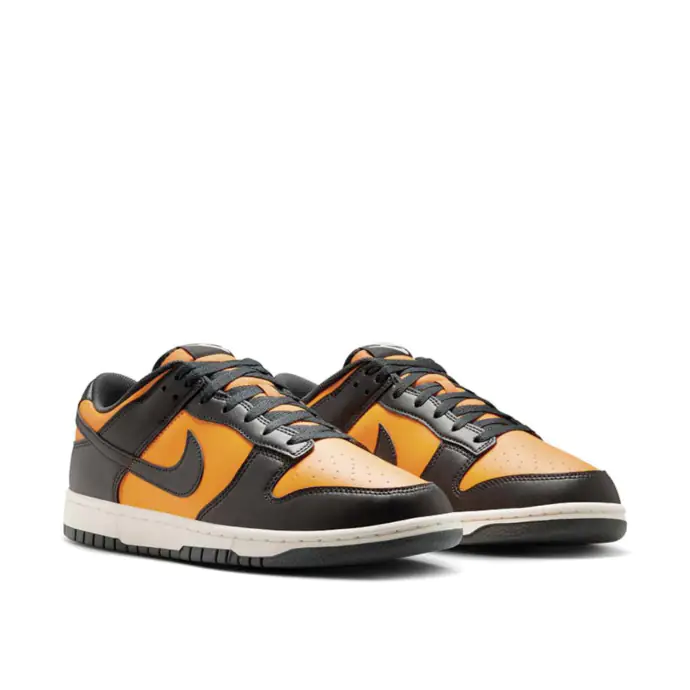 Chaussure Nike Dunk Low Retro