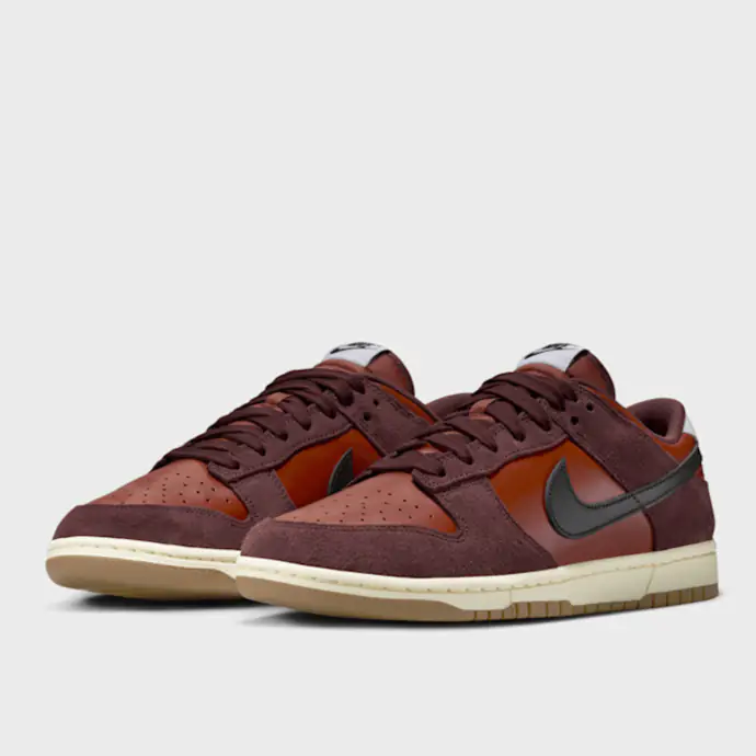Chaussure Nike Dunk Low Retro SE