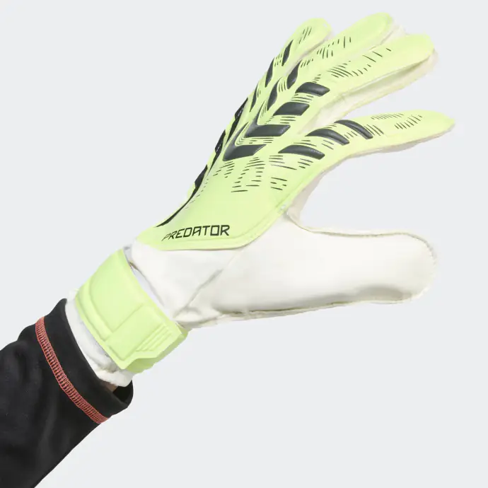 Gants de gardien Predator Training
