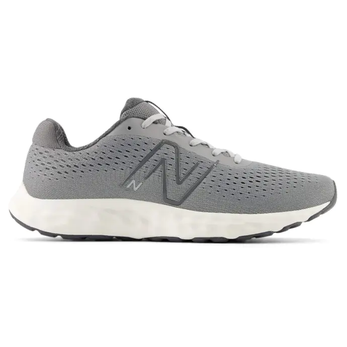 Chaussure Fresh Foam 520
