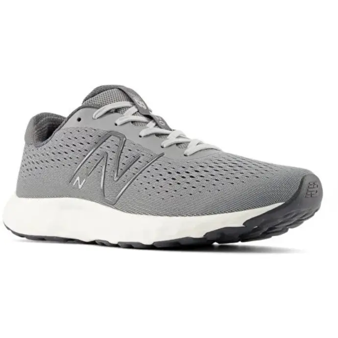Chaussure Fresh Foam 520