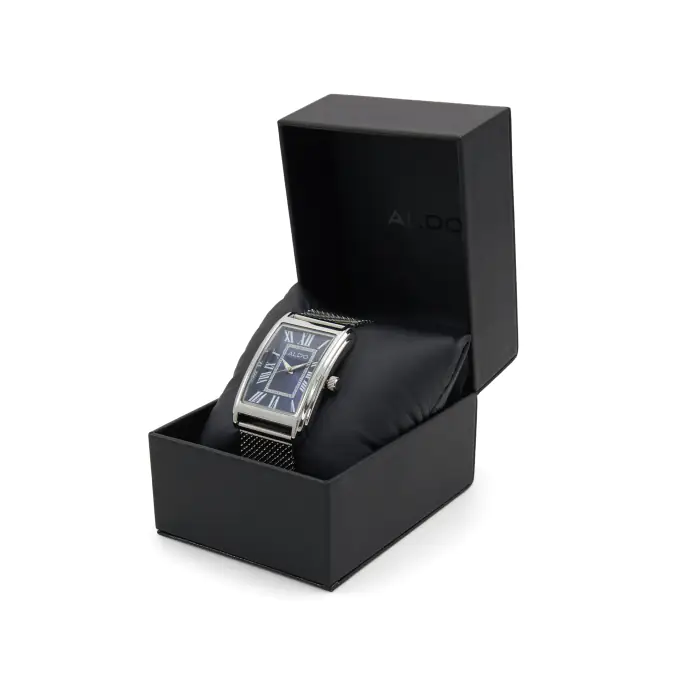 Montre Inoxydable Rhendab
