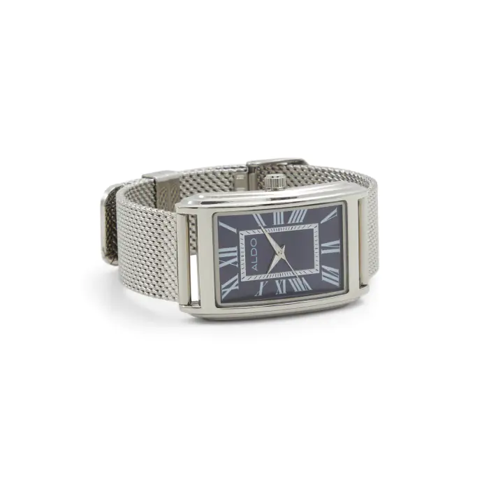 Montre Inoxydable Rhendab