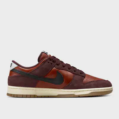 Chaussure Nike Dunk Low Retro SE