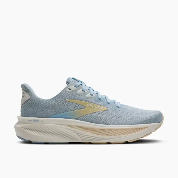 Chaussure Ghost 17