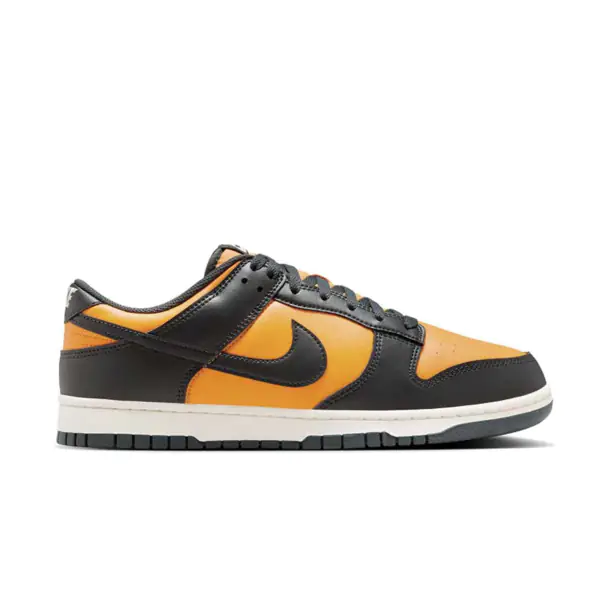 Chaussure Nike Dunk Low Retro