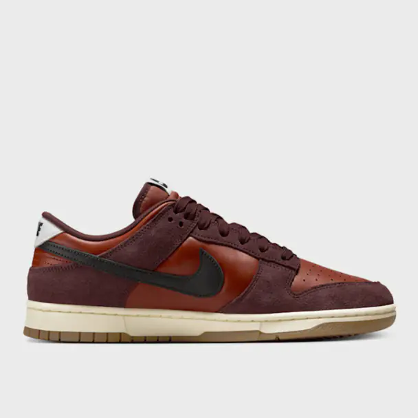Chaussure Nike Dunk Low Retro SE